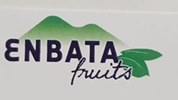 Enbata